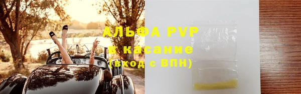 индика Верея