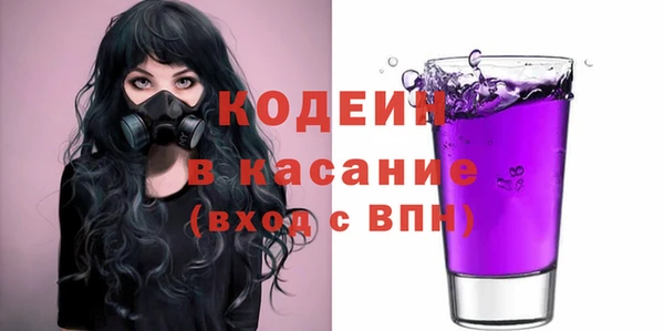 индика Верея