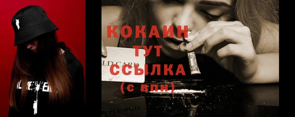 индика Верея