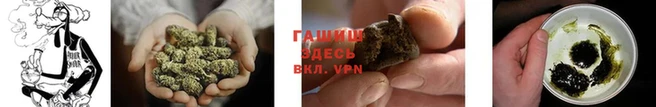 индика Верея