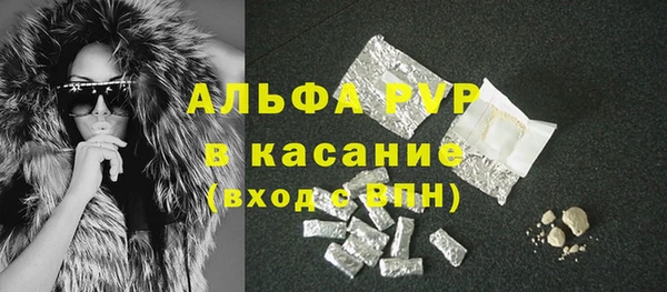 индика Верея