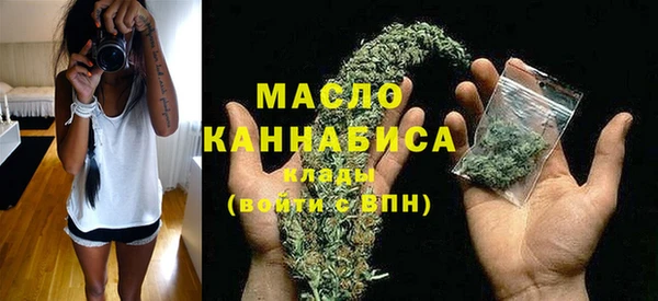 индика Верея
