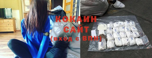 индика Верея