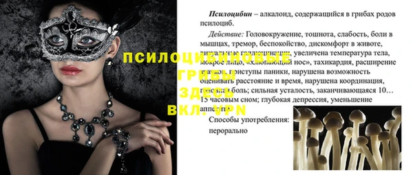 ешки Остров