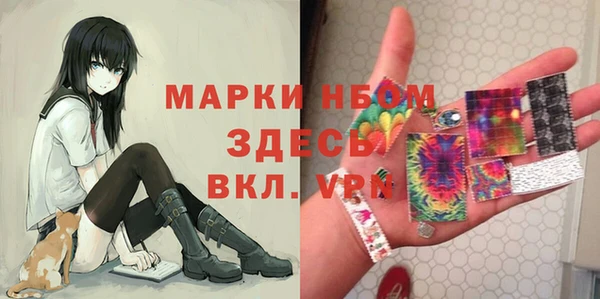 индика Верея