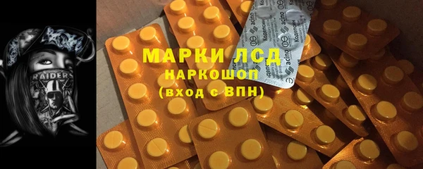 индика Верея